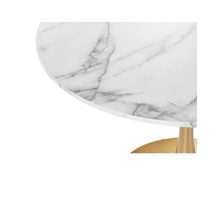 Mesa Gold Tulip - Pandalino