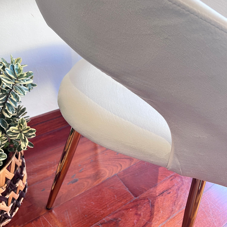 Sitial Sillón Siena Beige | Comodidad y Resistencia en Terciopelo