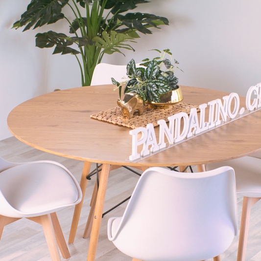 Comedor Mesa Redonda Shanna 100cm + 4 Sillas Tulip Blanco