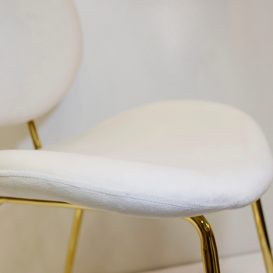 Pack 4 Sillón Angelica Velvet Beige | Sala, Dormitorio u Oficina