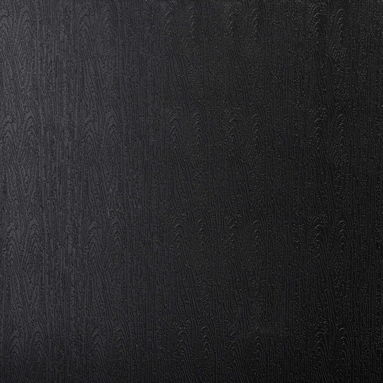 Pack 4 Silla Fritz Negro | Moderno y Resistente